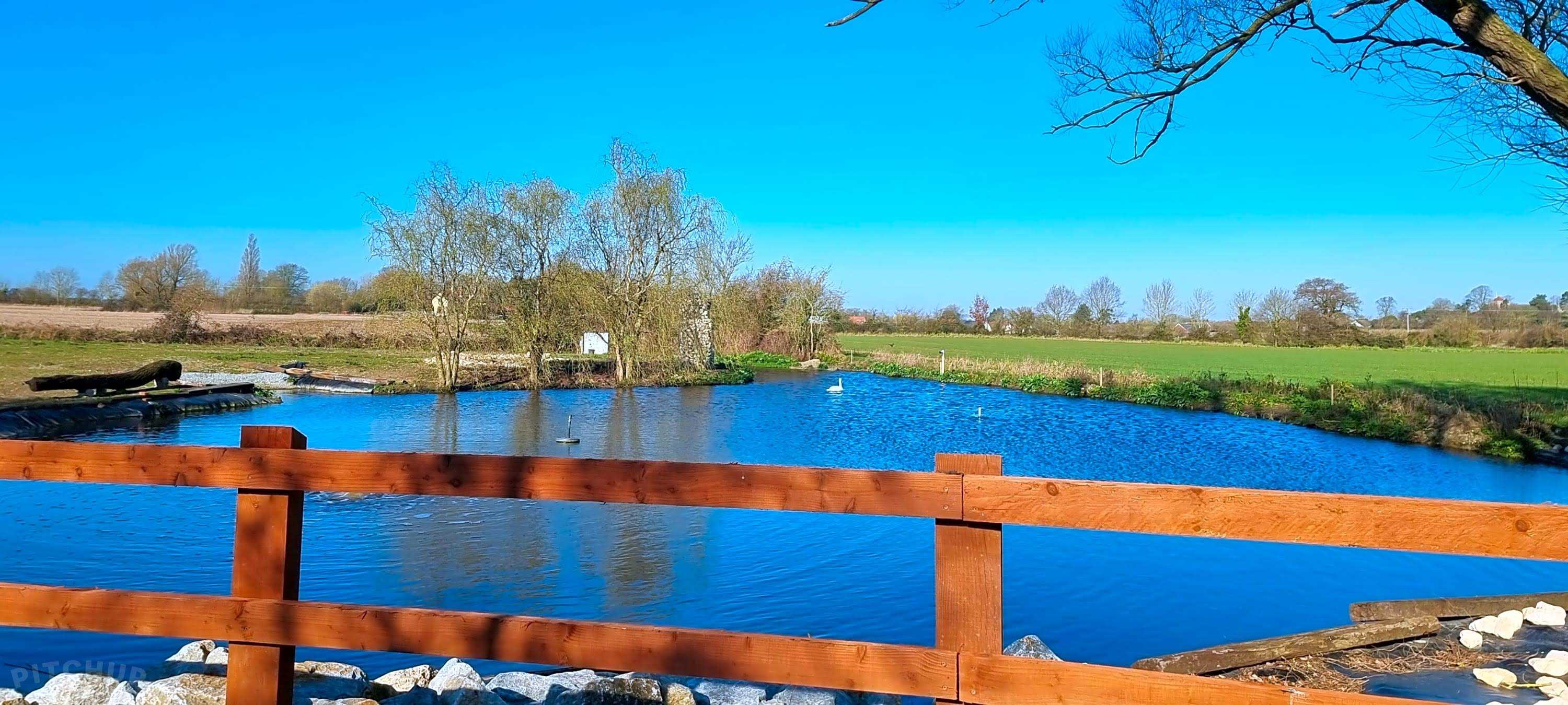 View of the Lake